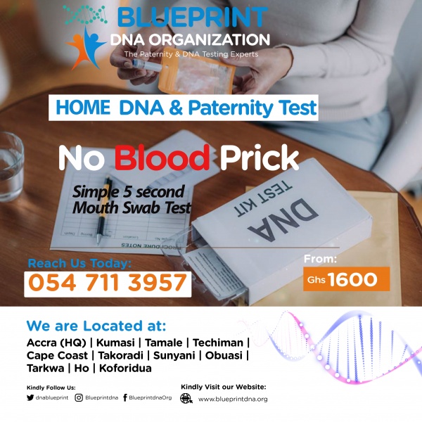 Blueprint DNA & Paternity Test Organization